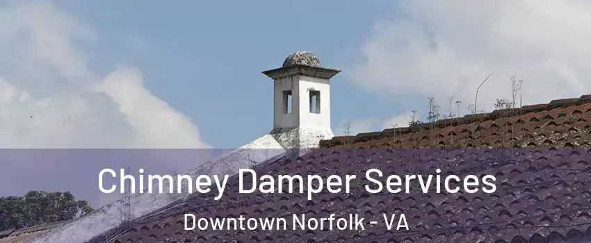 Chimney Damper Services Downtown Norfolk - VA