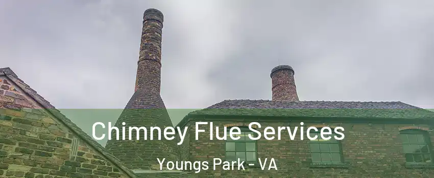 Chimney Flue Services Youngs Park - VA