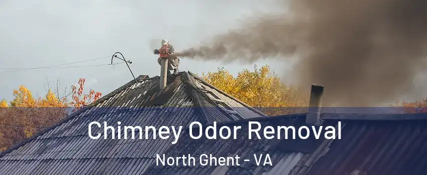 Chimney Odor Removal North Ghent - VA