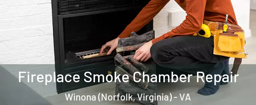 Fireplace Smoke Chamber Repair Winona (Norfolk, Virginia) - VA