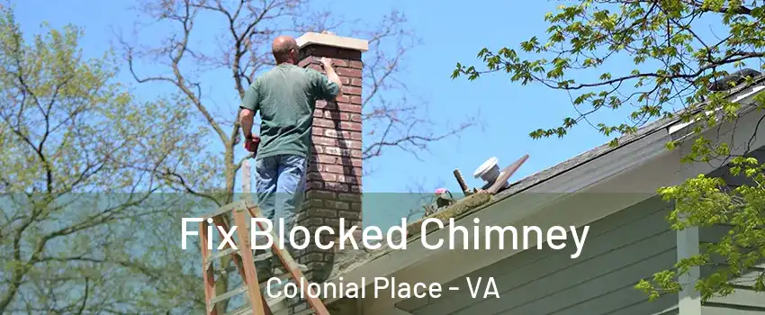 Fix Blocked Chimney Colonial Place - VA