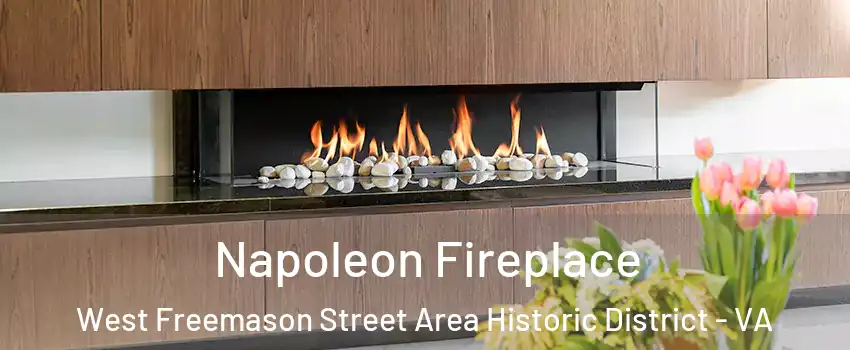 Napoleon Fireplace West Freemason Street Area Historic District - VA