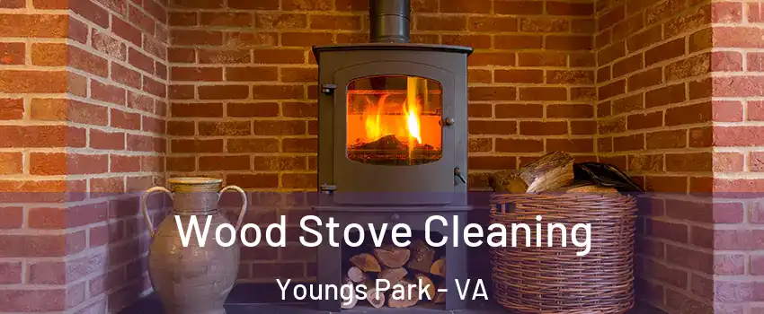 Wood Stove Cleaning Youngs Park - VA